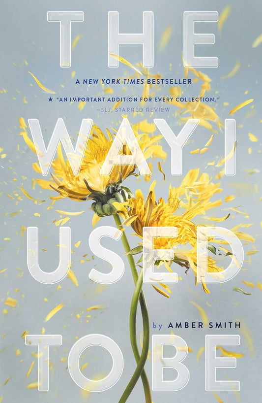 The Way I Used to Be - Amber Smith - Paperback