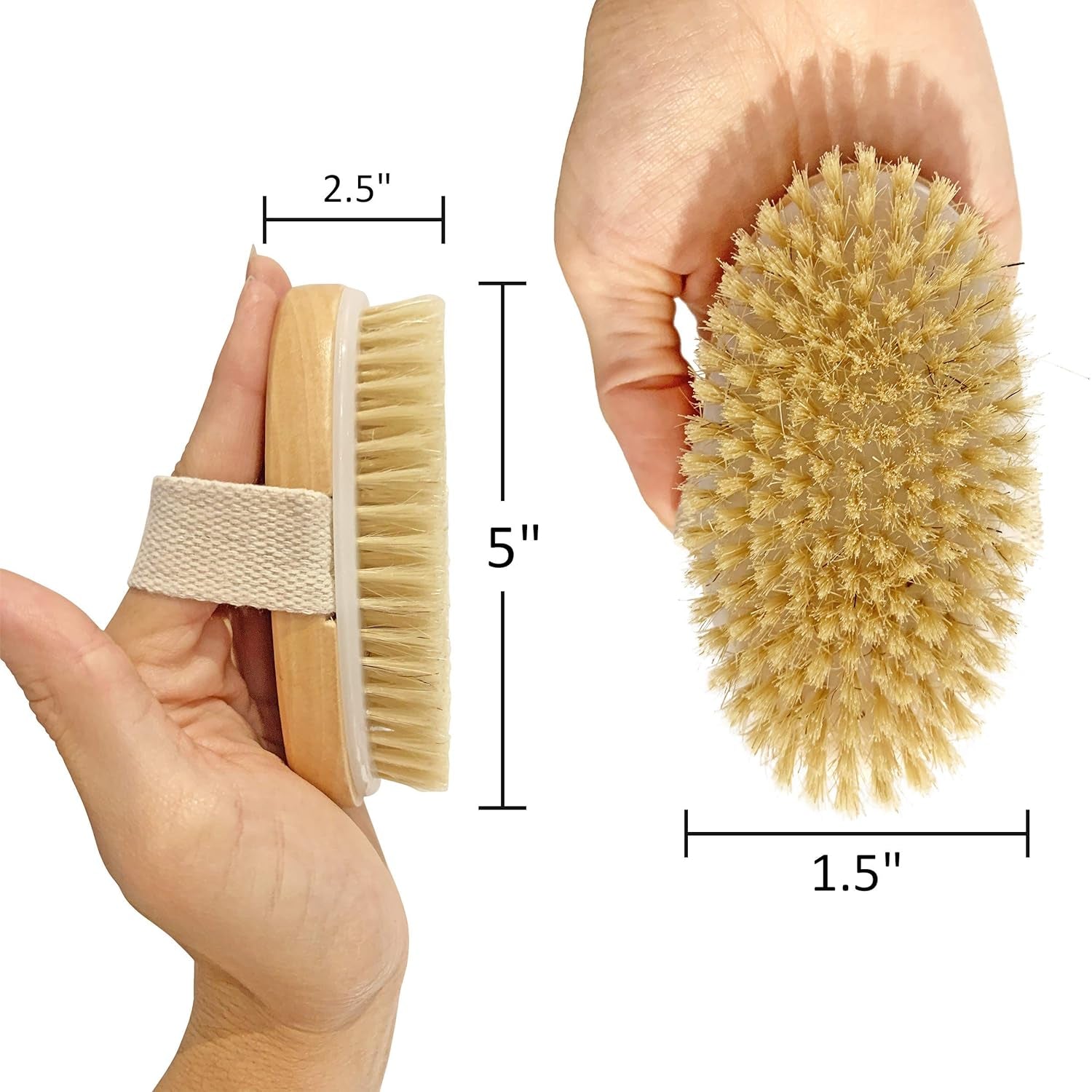 Wet and Dry Body Brush Exfoliator - Medium Soft Natural Bristle - Exfoliates Dead Skin - Slows Aging - Reduces Cellulite - Stimulates Lymph and Blood Flow and Increases Energy